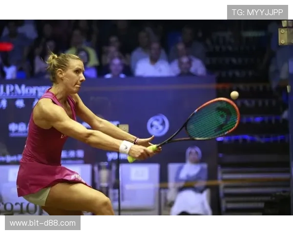 尊龙滚球盘：结合历史战绩制定科学的投注计划提升盈利空间