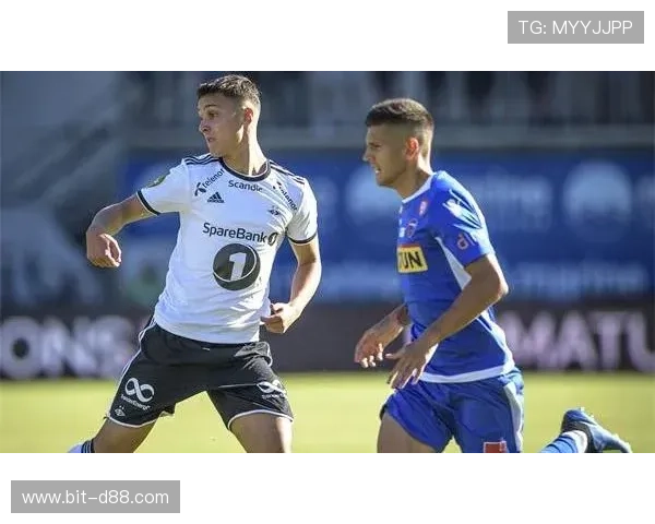 亚博体育官方入口：确保账号安全的实用登录技巧分享