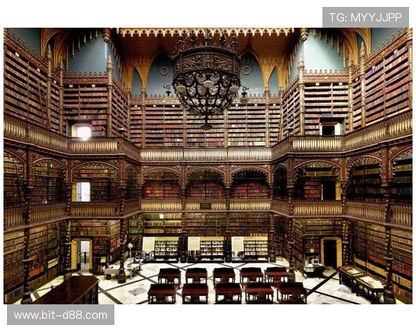 多设备支持的d88尊龙在线客户端下载，随时随地畅享精彩游戏内容