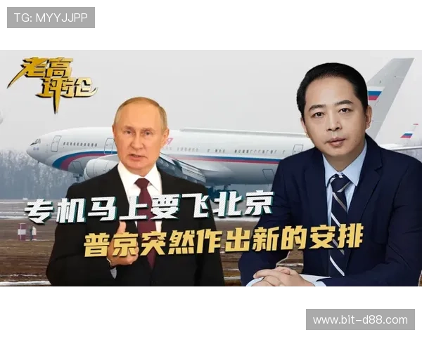 尊龙z6中国区官网入口官方入口地址及访问指南，确保顺利进入游戏